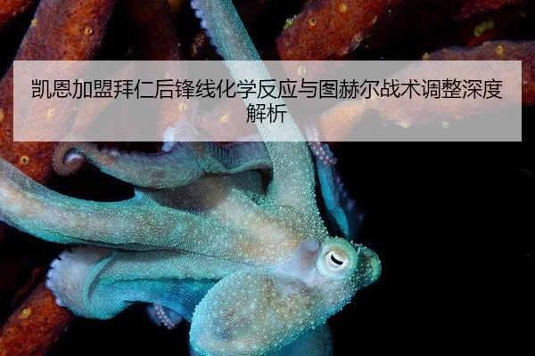 kai-en-jia-meng-bai-ren-hou-feng-xian-hua-xue-fan-ying-yu-tu-he-er-zhan-shu-tiao-zheng-shen-du-jie-xi-2-181.jpg