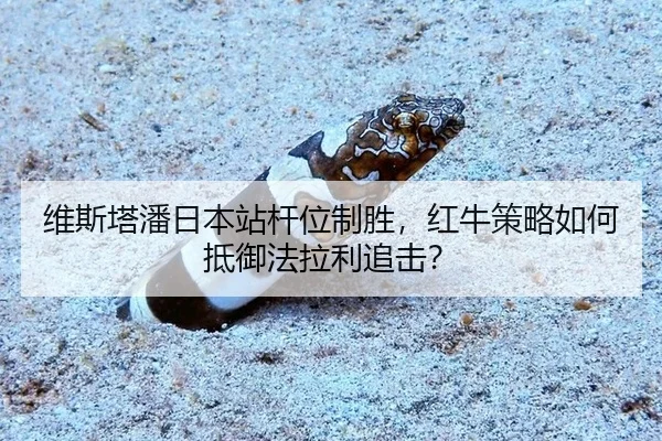 wei-si-ta-pan-ri-ben-zhan-gan-wei-zhi-sheng-hong-niu-ce-lve-ru-he-di-yu-fa-la-li-zhui-ji-3-174.jpg